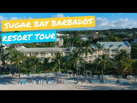 Videos del Sugar Bay Barbados 4★ en Bridgetown, BarbadosVer MásVerPrecios18CerrarConsulta por Whatsapp 🇦🇷BookingTripadvisorExpediaAgodaTravelocityOrbitzPricelineTripSkyscannerDespegarKayakHotelesBestdayDestiniaTrivagoLastminuteTuiWotif