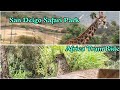 Baby Giraffe On Africa Tram At San Diego Safari Park