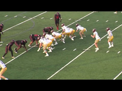 Highlights: Dripping Springs vs. Wagner, BGC Football — Week 2, 2025