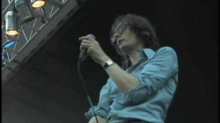 Jarvis Cocker - Big Julie (Live, Pitchfork 2008)