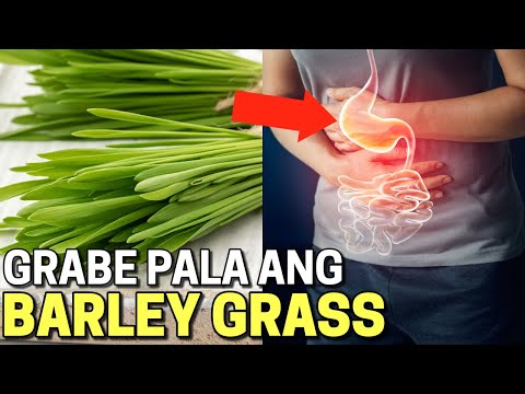 ito pala ang MATINDING EPEKTO sa KATAWAN ng BARLEY GRASS / Benefits and Side Effects of Barley Grass