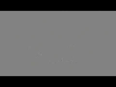 Dr Santosh Nahar | Violin | Bihag | Drut Gat | Classical