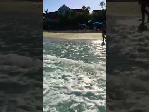 Zurmatai in Brazil 🇧🇷