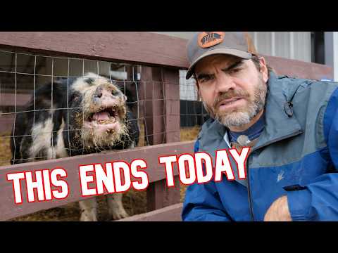 We're NOT Losing This Battle!