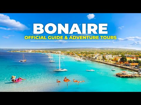 Top 10 Things To Do In Bonaire ! Official Tour Guide Of Bonaire