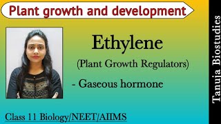 Plant Growth Regulators - Ethylene | Ripening hormone | Plant growth and development | NEET/AIIMS