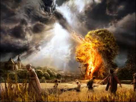 Transformation Transformation 1987 USPM Heavy Metal Florida