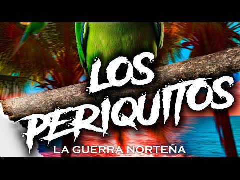 La Guerra Norteña - Los Periquitos