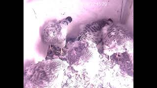 Sie wachsen wie Schwamm