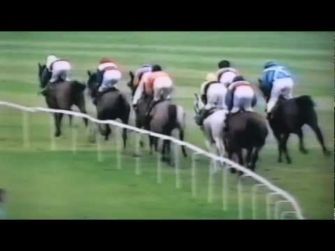 Nagroda Oaks - 13.09.1997 - Elcanta (Pamir - Estepona) - unieważniona