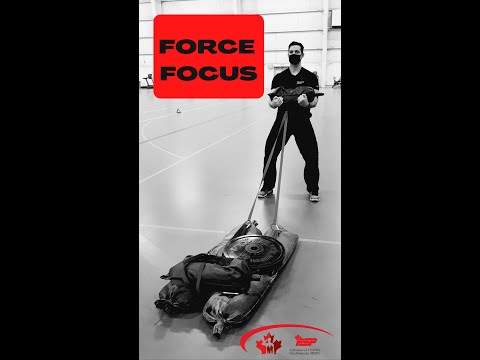 6. FORCE Focus - 08 Apr 20, Rich Stauffer