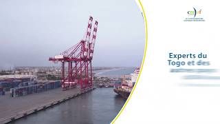 Miniature de la vidéo