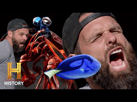 VENOMOUS AQUATIC CREATURES SEEK REVENGE | Kings of Pain (Season 2) | History