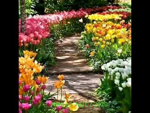 Thể hiện bởi Ngô Tấn Trường