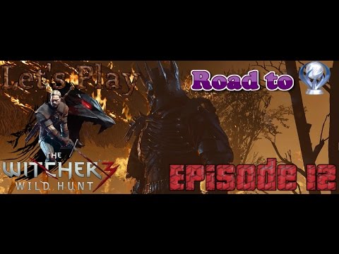 The Witcher 3: Wild Hunt - Nilfgaardian Connection Episode 12 Death March difficulty