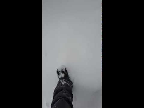 日本 越後湯澤天使格蘭~大雪過後滿地粉雪_20200205