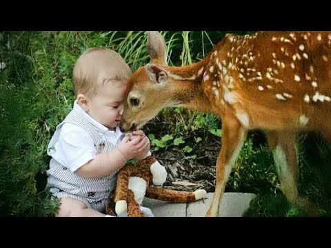 Little Friends Have Melting Moments With Animals! Best Animal Video 2024