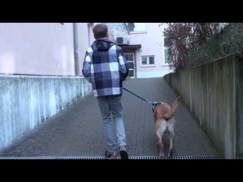 Anfahrt Praxis Dr  Seiffert