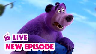 🔴 LIVE STREAM 🎬 Masha and the Bear 🆕 New Episode 🥳 April Fool's Day 🤪👋