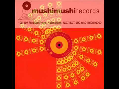 Kabuki Feat Cleverland - Speed Of Sound (Frost & Wagner Remix)