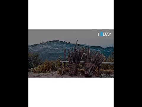 NGC Collection  -  Zhadima zhadima- ( noudo geizo -visetuo)