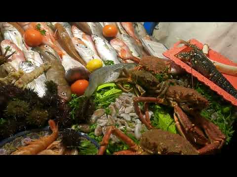 Ville d’Essaouira , poissons et fruits de mer.