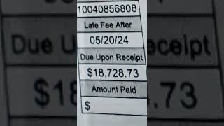An actual real #NYSEG bill #wakeup #covid #debt #upstateny #howdidwegethere