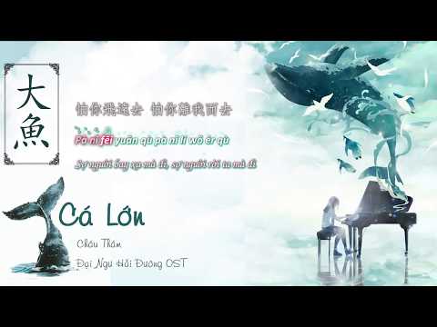 [ Lyrics + Vietsub] CÁ LỚN - CHÂU THÂM - Đại Ngư Hải Đường OST II [大鱼 - 周深]