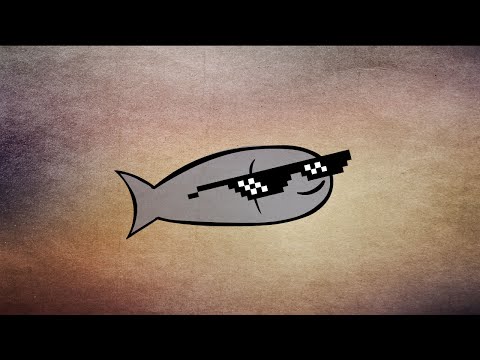 Cichyżart #12 - Kolacja