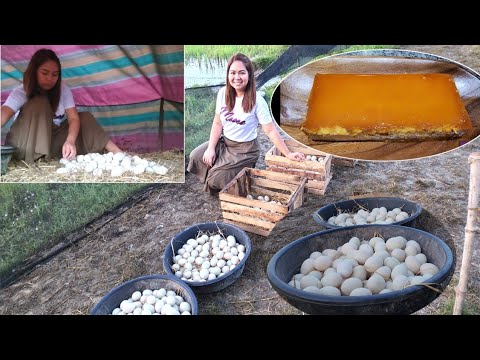 EP366-Part 1 - ITLOG HARVEST | SMOOTH LECHE FLAN RECIPE