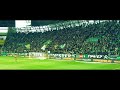 video: Ferencváros - Fehérvár 0-1, 2023 - Green Monsters szurkolás