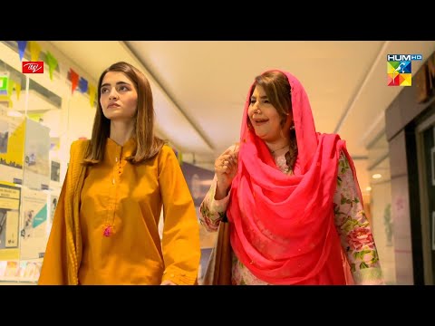 Bare Faide Ke Liye Chota Sa Nuqsan... Paristan - HUM TV