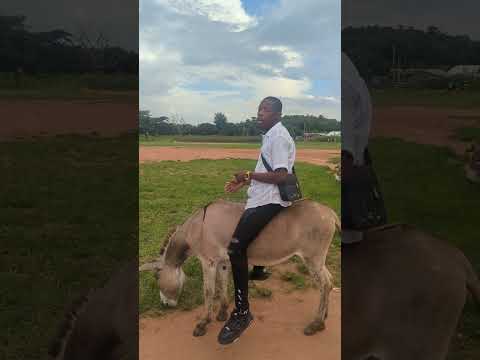 ALICHOIFANYIA PUNDA NYANDA KABUNDI UTACHEKA