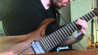 Cryptopsy - Benedictine Convulsions Guitar Cover