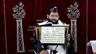 זבחים דף מ"א ע''א ¤ הרב נתנאל אברז'ל ¤ בית הכנסת "בית מרדכי" (מוסדות תורת דוד) - התמונה מוצגת ישירות מתוך אתר האינטרנט יוטיוב. זכויות היוצרים בתמונה שייכות ליוצרה. קישור קרדיט למקור התוכן נמצא בתוך דף הסרטון