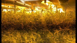 Vice & Narcotics Search Warrant - 11459 Trail Ridge Run, Brooksville