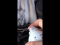 How to properly Sea foam your vehicle or gas ...