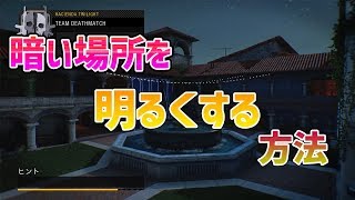 【BO4実況】暗い場所を明るくし敵を見やすくする方法