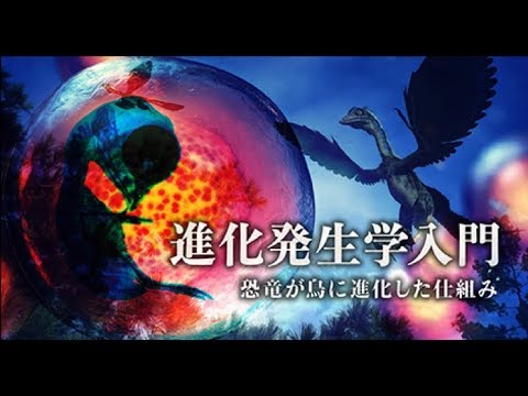 東北大学MOOC「進化発生学入門ー恐竜が鳥に進化した仕組みー｣ 　講師:生命科学研究科　田村宏治 教授