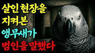 Download lagu 실화 살인 현장을 목격한 앵무새가 입을 열었다  그리고 범인이 잡혔다 mp3