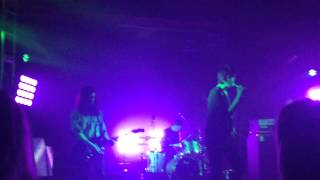 Scarlet Fields Live - The Horrors