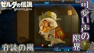 【ゼルダの伝説】引きこもりの音読会へようこそ！　＃１０【実況】