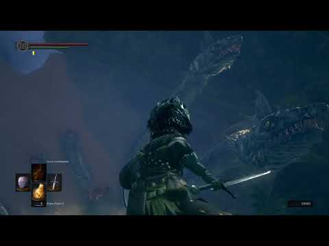 Dark Souls Remastered / Darkroot Basin - Hydra (Miniboss)