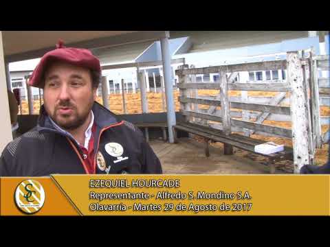 29-08-17 Nota a Ezequiel Hourcade - Alfredo S Mondino - Olavarria