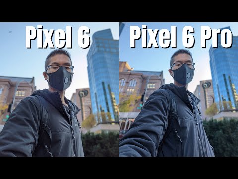 Pixel 6 Pro vs PIxel 6 Camera Comparison / Are the Differences Worth it?