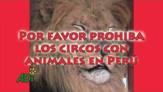 La Crueldad no es Cultura (Peru)