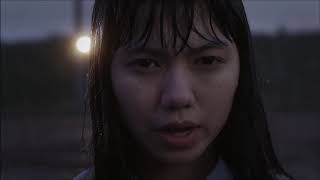 calla - fear of fireflies