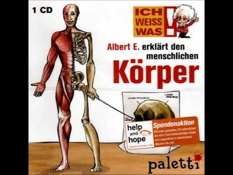 Albert E. erklärt den menschlichen Körper
