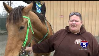 Stolen horse found and returned to owner