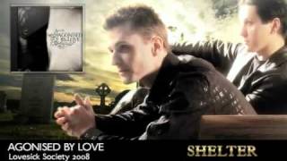 Agonised By Love - Shelter